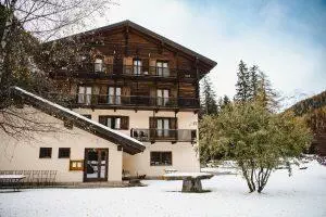 Alpine Forest hotel